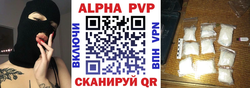 omg   Выборг  A-PVP СК КРИС 