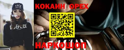 стаф Будённовск