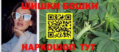 индика Балахна