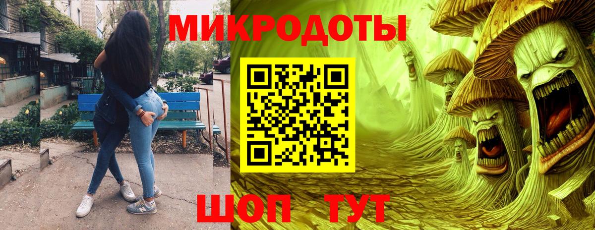 Псилоцибиновые грибы мицелий  Выборг  где продают наркотики  Псилоцибиновые грибы Cubensis 