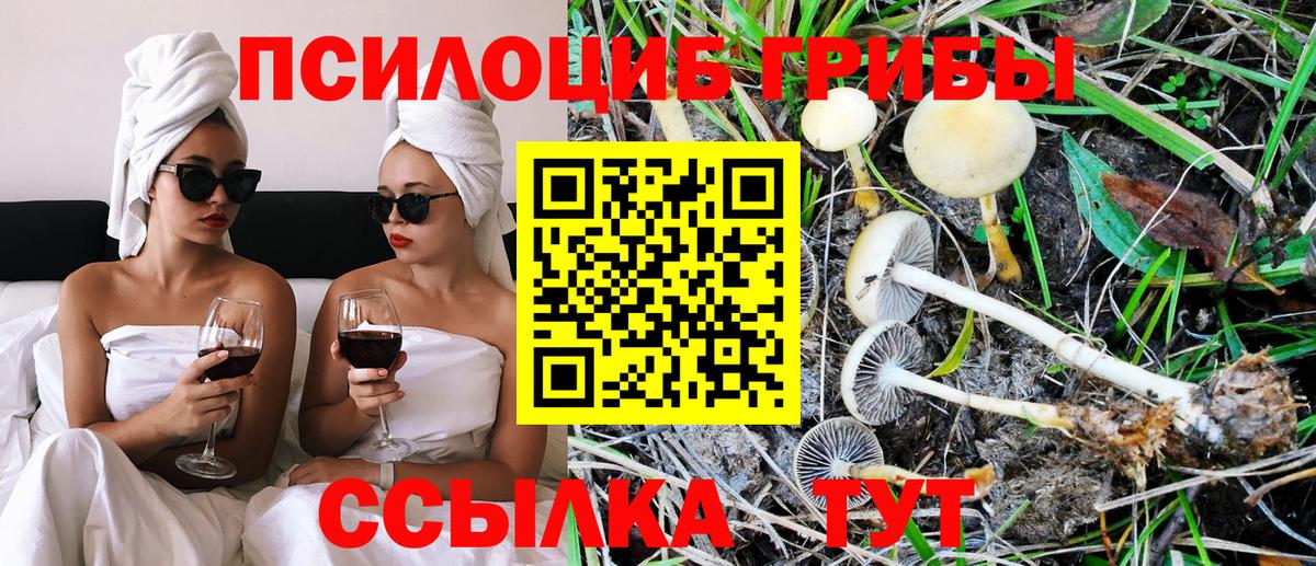 Галлюциногенные грибы мицелий Выборг